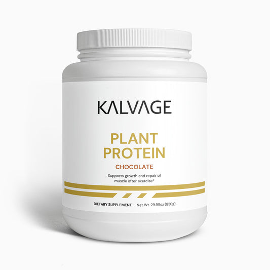 Plant Protein (Chocolate)