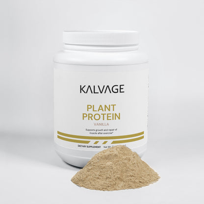 Plant Protein (Vanilla)